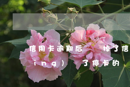 信用卡逾期后來還掉了(信用卡逾期已經(jīng)還了,?？ǖ倪€能恢復(fù)嗎)