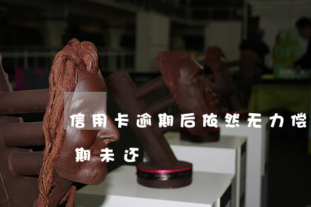 信用卡逾期后依然无力偿还(现在我信用卡逾期未还)