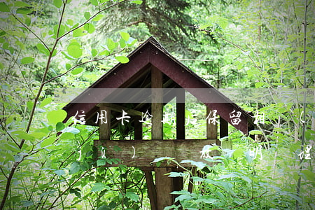 信用卡逾期后保留相關(guān)證據(jù)(憑釋放證明處理逾期信用卡記錄)