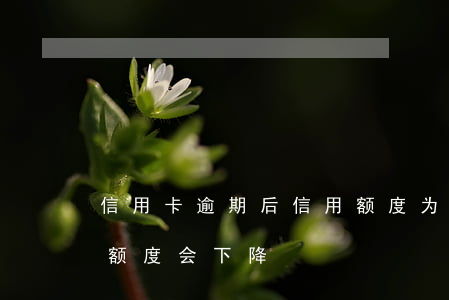 信用卡逾期后信用额度(为什么信用卡没逾期额度会下降)