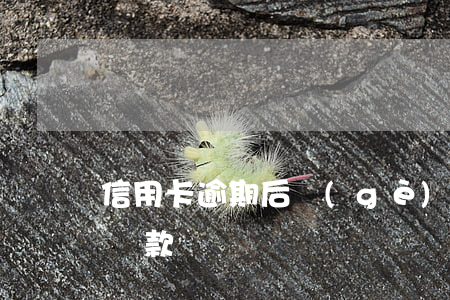 信用卡逾期后個(gè)人協(xié)商還款