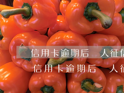 信用卡逾期后個人征信怎么復(fù)原-信用卡逾期后個人征信怎么復(fù)原呢
