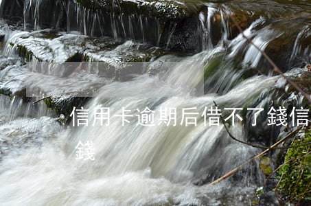 信用卡逾期后借不了錢(信用卡逾期后借不了錢)