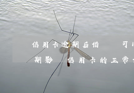 信用卡逾期后借唄還可以用嗎 支付寶借唄逾期影響信用卡的正常使用嗎?