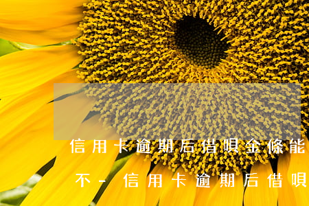 信用卡逾期后借唄金條能循環(huán)不-信用卡逾期后借唄金條能循環(huán)不還嗎