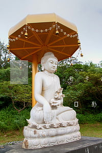 信用卡逾期后停息掛帳(信用卡逾期后停息掛帳會影響征信嗎)