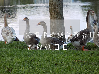 信用卡逾期后催去單位(怎么樣應對信用卡逾期催收電話?)