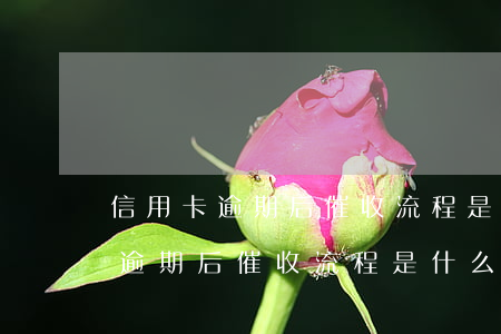 信用卡逾期后催收流程是什么意思-信用卡逾期后催收流程是什么意思啊