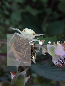 信用卡逾期后免息幾年(信用卡逾期后免息幾年)