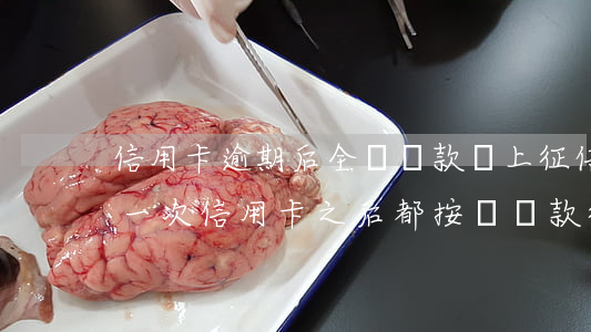 信用卡逾期后全額還款會上征信嗎(只逾期過一次信用卡,之后都按時還款,征信影響大嗎)