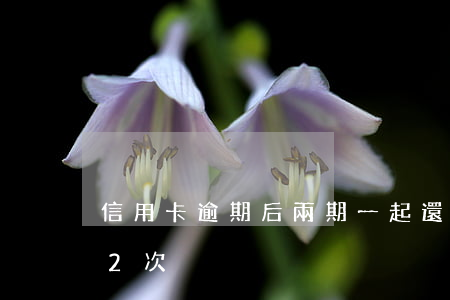 信用卡逾期后兩期一起還(同一張信用卡逾期2次)