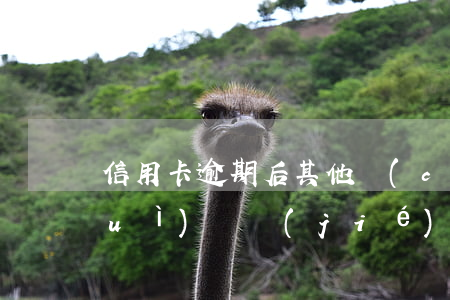 信用卡逾期后其他儲(chǔ)蓄卡會(huì)凍結(jié)嗎-信用卡逾期后其他儲(chǔ)蓄卡會(huì)凍結(jié)嗎怎么辦