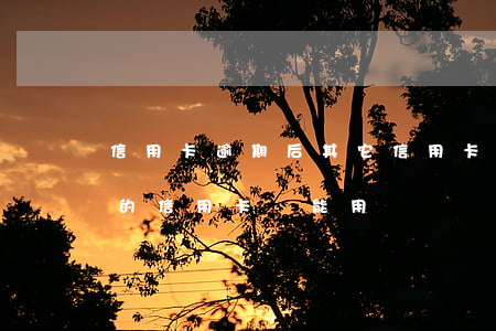 信用卡逾期后其它信用卡還能用嗎(逾期之后的信用卡還能用嗎)