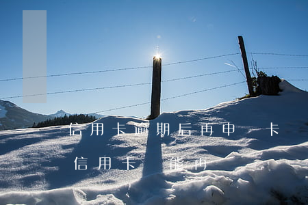 信用卡逾期后再申請卡還會怎么樣-逾期了信用卡還能再辦嗎