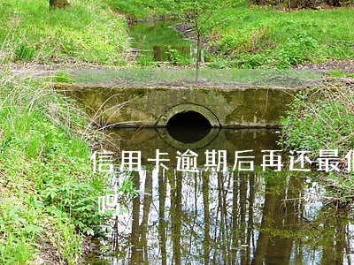 信用卡逾期后再还最低(逾期之后可以还最低吗)
