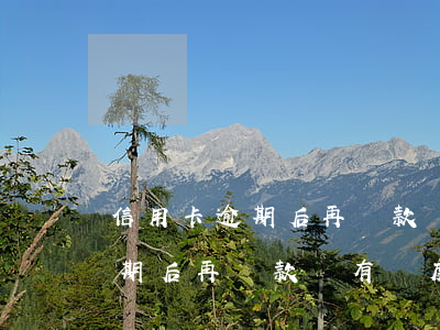 信用卡逾期后再還款還有額度嗎-信用卡逾期后再還款還有額度嗎怎么辦