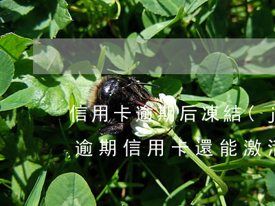 信用卡逾期后凍結(jié)還能激活嗎(有逾期信用卡還能激活么)