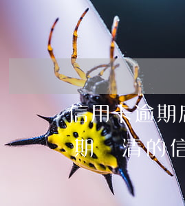 信用卡逾期后凍結(jié)還能激活碼(逾期還清的信用卡怎么去激活)