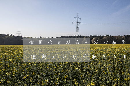 信用卡逾期后分期付款怎么還不了-信用卡逾期后分期付款怎么還不了款