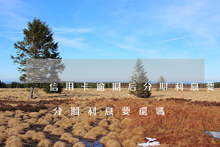 信用卡逾期后分期利息要還嗎 信用卡逾期后分期利息要還嗎