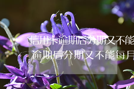 信用卡逾期后分期又不能每月還款-信用卡逾期后分期又不能每月還款怎么辦