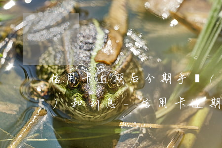 信用卡逾期后分期手續(xù)費(fèi)和利息-信用卡逾期后分期手續(xù)費(fèi)和利息怎么算