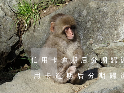 信用卡逾期后分期歸還的規(guī)則(信用卡逾期后分期歸還的規(guī)則是)