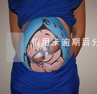 信用卡逾期后分期被終止