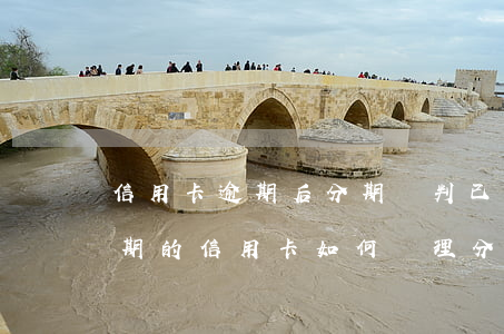 信用卡逾期后分期談判(已經(jīng)逾期的信用卡如何辦理分期)