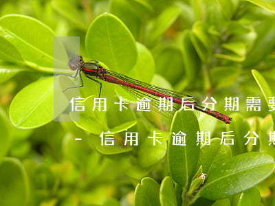信用卡逾期后分期需要擔(dān)保人嗎-信用卡逾期后分期需要擔(dān)保人嗎嗎
