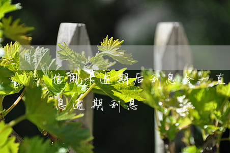 信用卡逾期后利息会一直算吗(信用卡 逾期罚息 逾期利息)