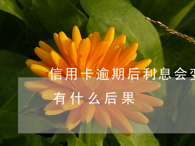 信用卡逾期后利息会变高吗(还信用卡逾期会有什么后果)