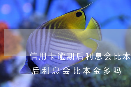 信用卡逾期后利息会比本金多吗 信用卡逾期后利息会比本金多吗