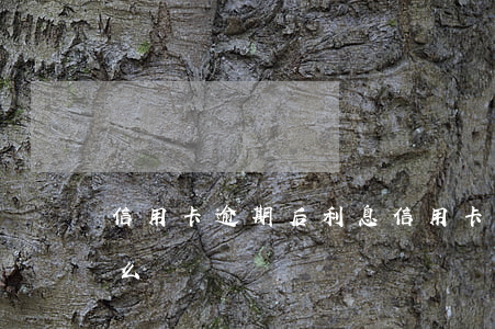 信用卡逾期后 利息(信用卡逾期后利息太高怎么辦)