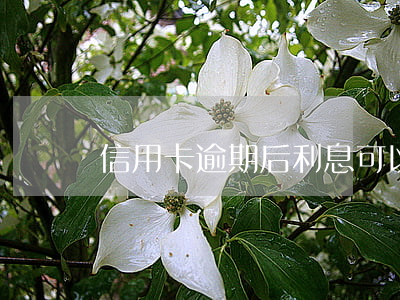 信用卡逾期后利息可以申訴回來嗎