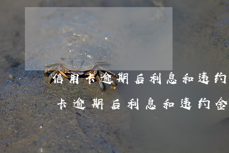 信用卡逾期后利息和违约金怎么免除-信用卡逾期后利息和违约金怎么免除了