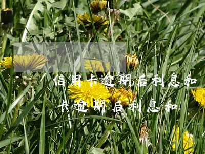 信用卡逾期后利息和違約金怎么免除-信用卡逾期后利息和違約金怎么免除了