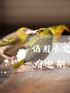 信用卡逾期后利息怎么收(如何追回信用卡所有逾期罰息)