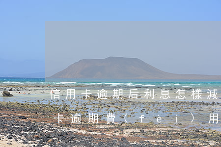 信用卡逾期后利息怎樣減免(怎樣和銀行信用卡逾期費(fèi)用減免)