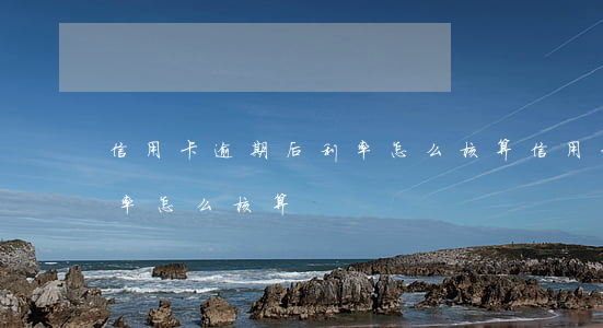 信用卡逾期后利率怎么核算(信用卡逾期后利率怎么核算)