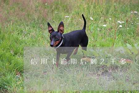信用卡逾期后剩2千多(幾千塊信用卡逾期)