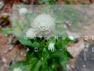 信用卡逾期后努力賺錢(欠信用卡的錢逾期了每個月還一點可以嗎)