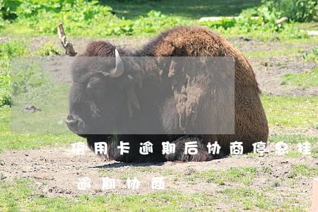 信用卡逾期后协商停息挂账有用吗-信用卡 逾期 协商