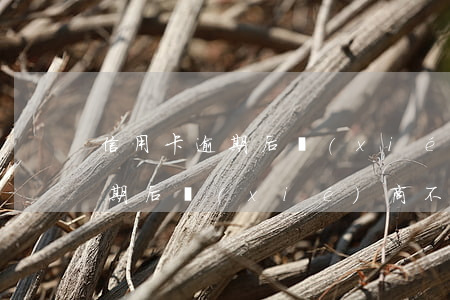 信用卡逾期后協(xié)商不成(信用卡逾期后協(xié)商不成,一直派人到工作單位)
