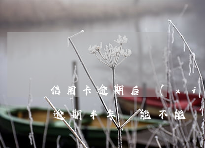 信用卡逾期后協(xié)商停賬(欠信用卡逾期半年還能不能協(xié)商)