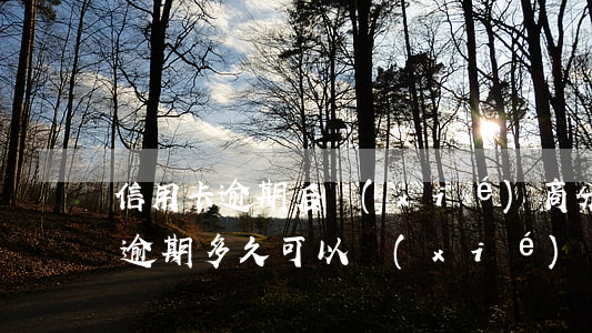 信用卡逾期后協(xié)商分期多久劃算 逾期多久可以協(xié)商分期