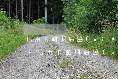 信用卡逾期后協(xié)商分期還可以嗎-信用卡逾期后協(xié)商分期還可以嗎怎么還