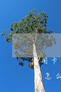 信用卡逾期后協(xié)商成功分期要利息(怎么去銀行協(xié)商信用卡逾期分期)