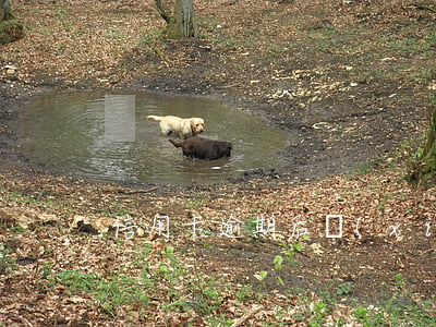 信用卡逾期后協(xié)商案例