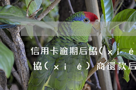 信用卡逾期后協(xié)商還不上(信用卡協(xié)商還款后再次逾期)